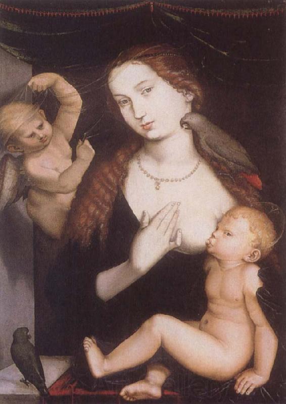 Hans Baldung Grien Virgin and Child with Parrots